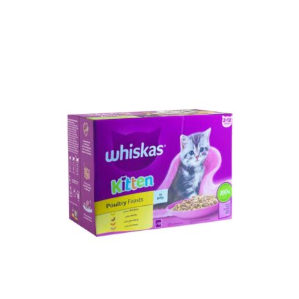 Whisas Kitten Cat Food Poultry Feasts In Jelly