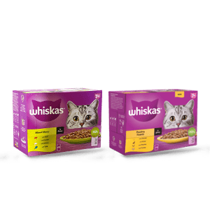 Whiskas Cat Jelly